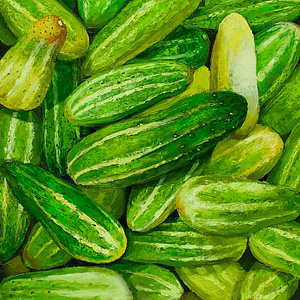 Cucumbers - Cetrioli